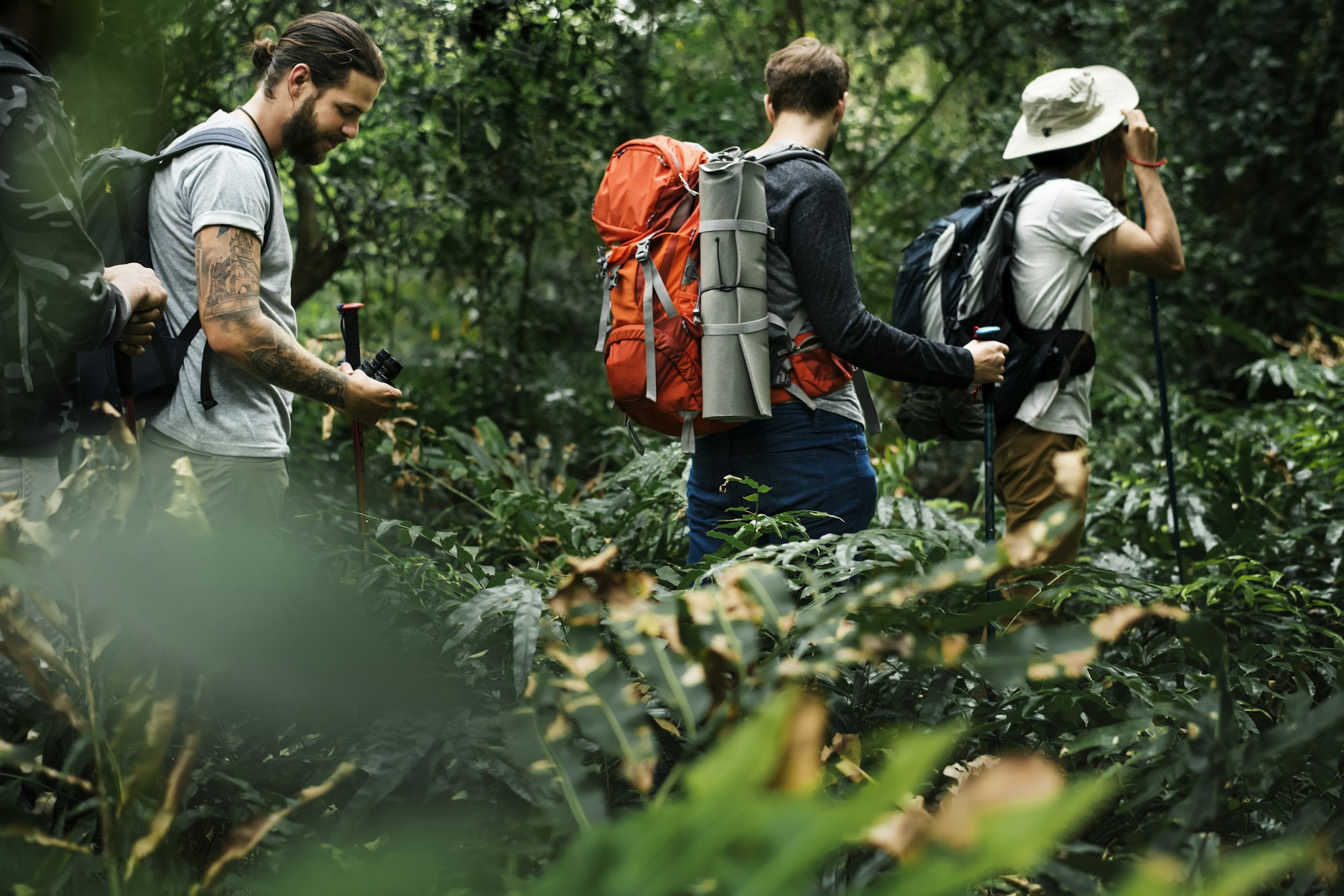 Hikers trekking in a forest together